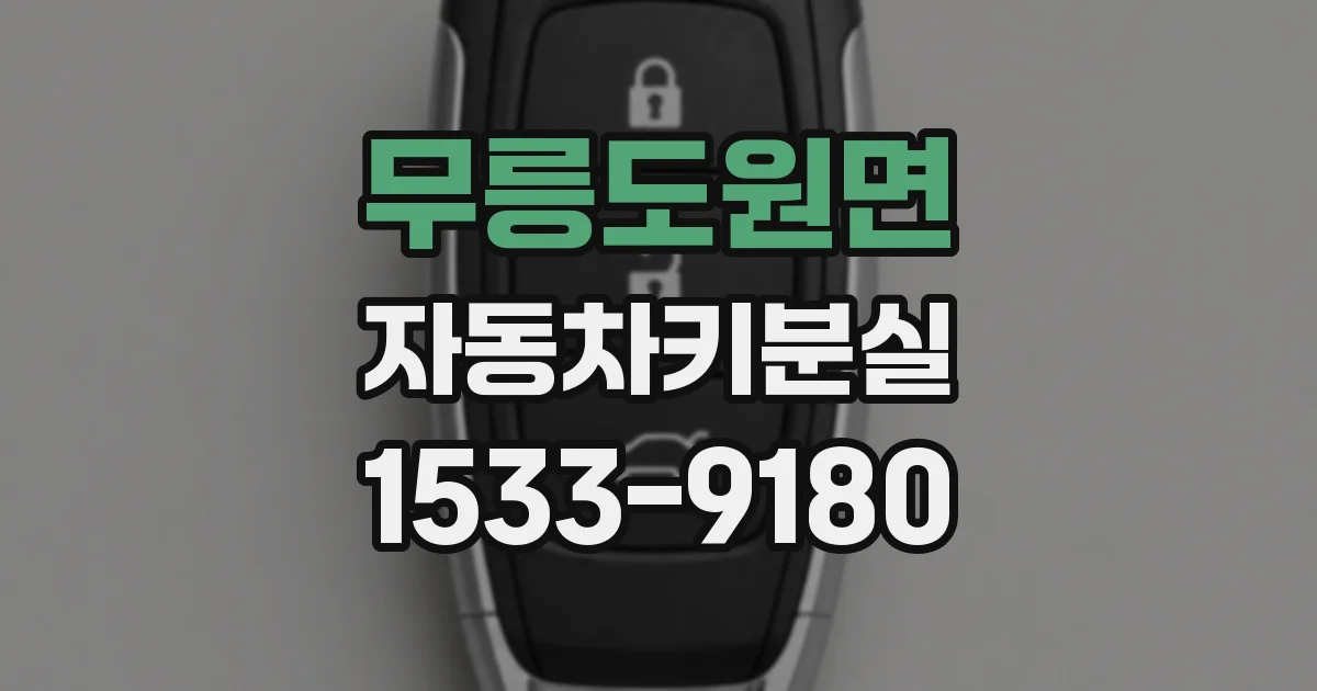 무릉도원면 자동차키분실