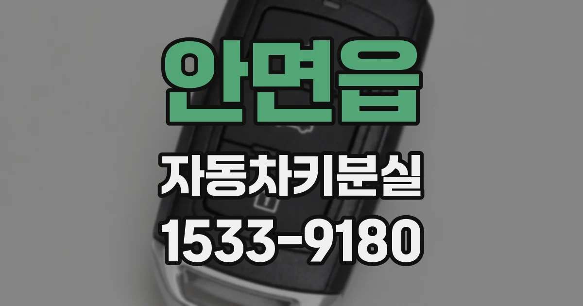 안면읍 자동차키분실