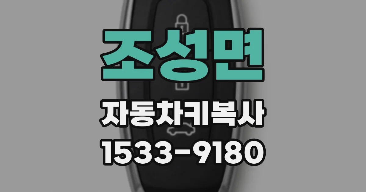 조성면 자동차키복사