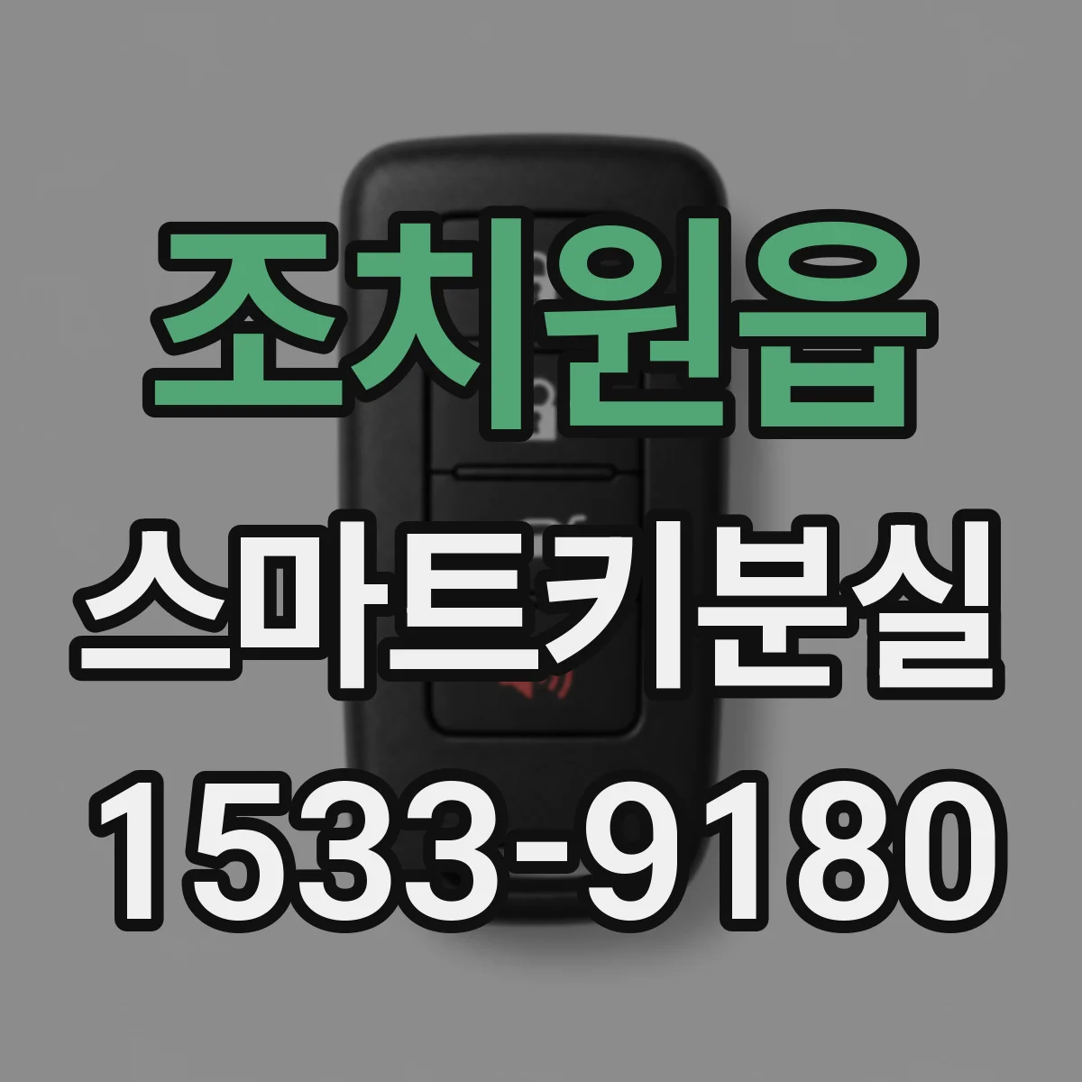 조치원읍 스마트키분실