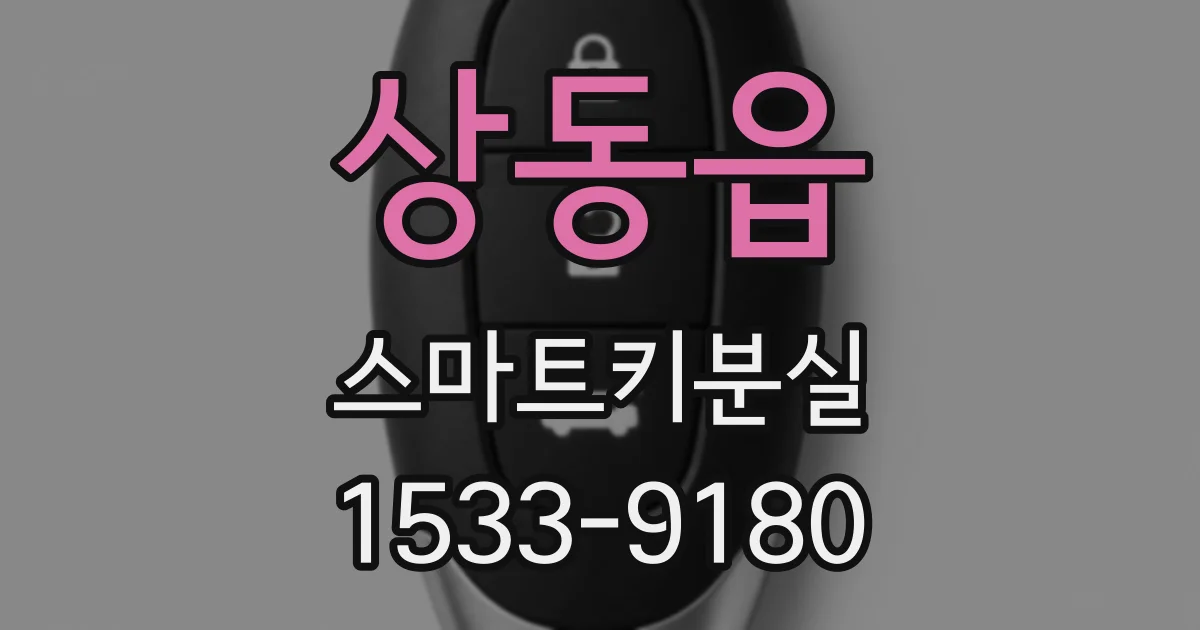 상동읍 스마트키분실