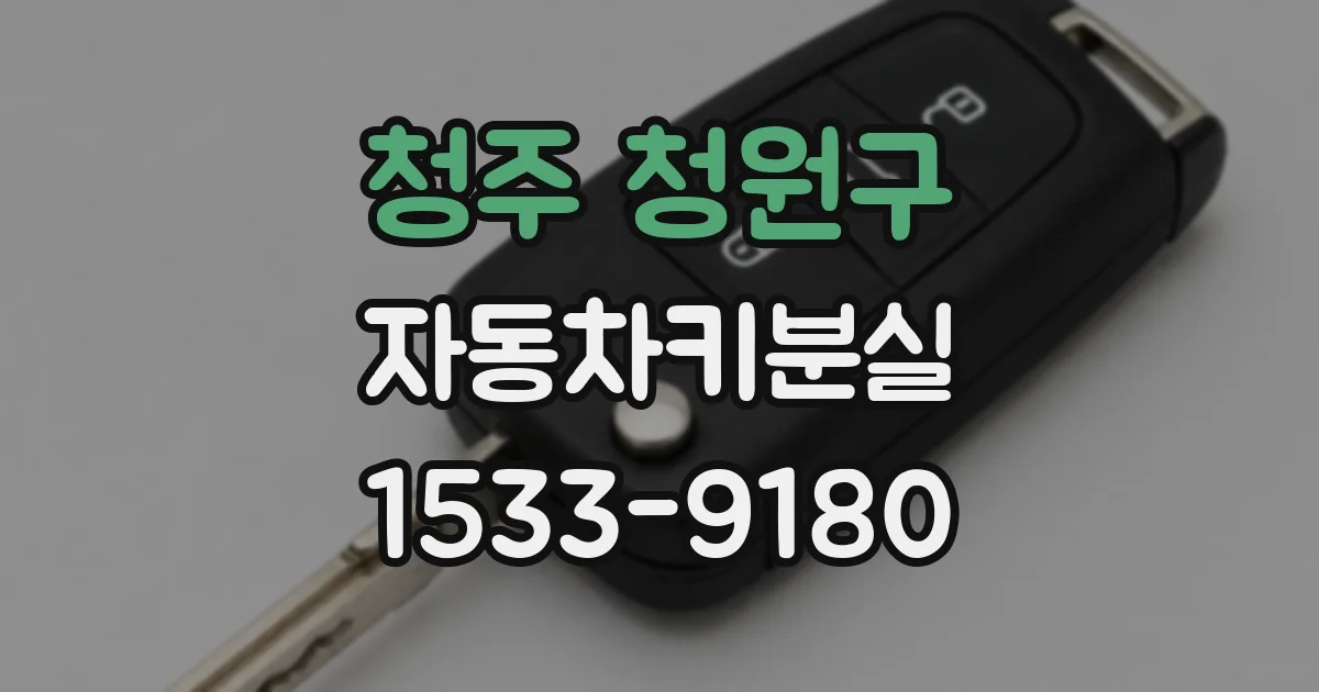 청주 청원구 자동차키분실