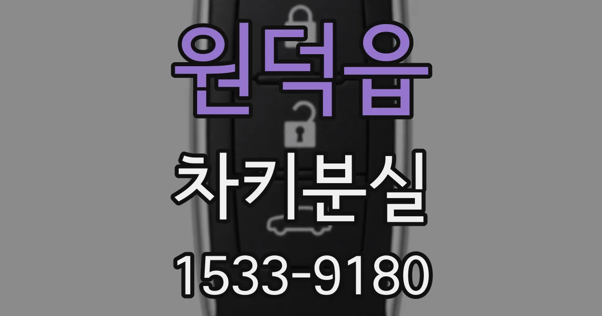 원덕읍 차키분실