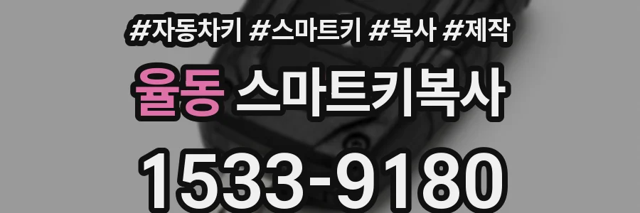 율동 스마트키복사