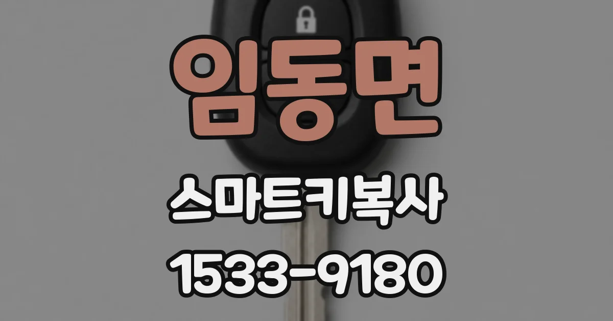 임동면 스마트키복사
