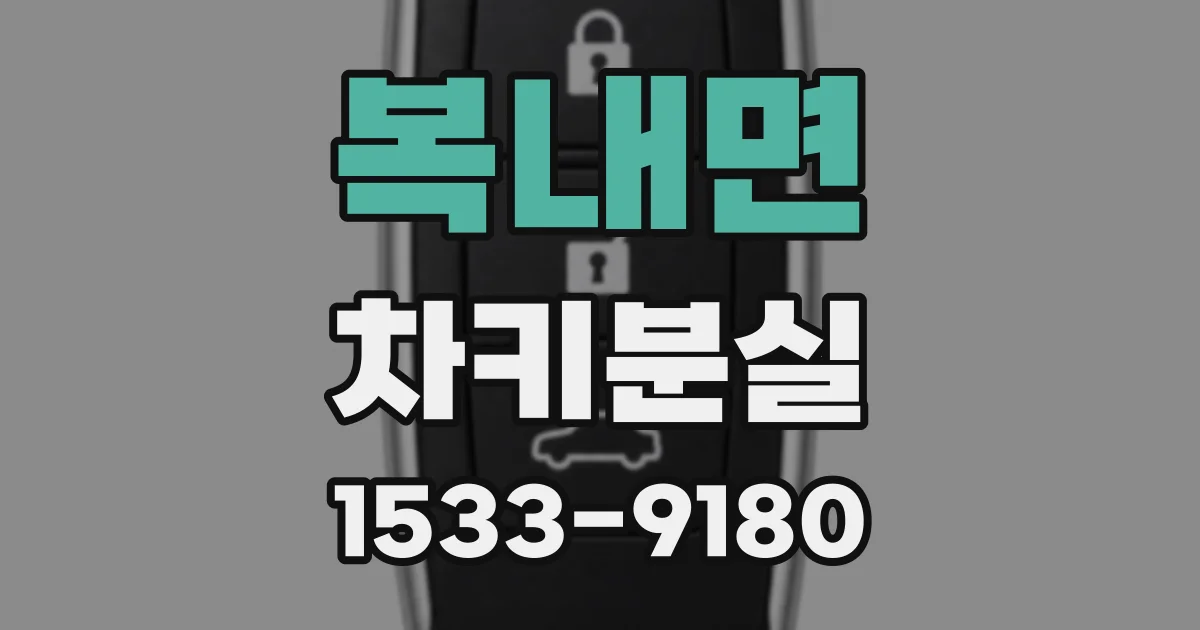 복내면 차키분실