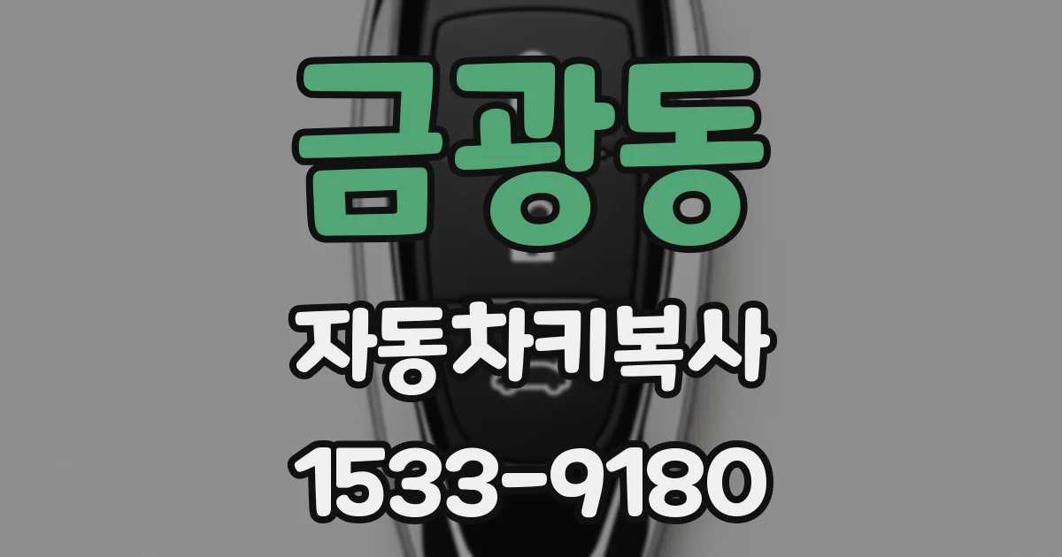 금광동 자동차키복사