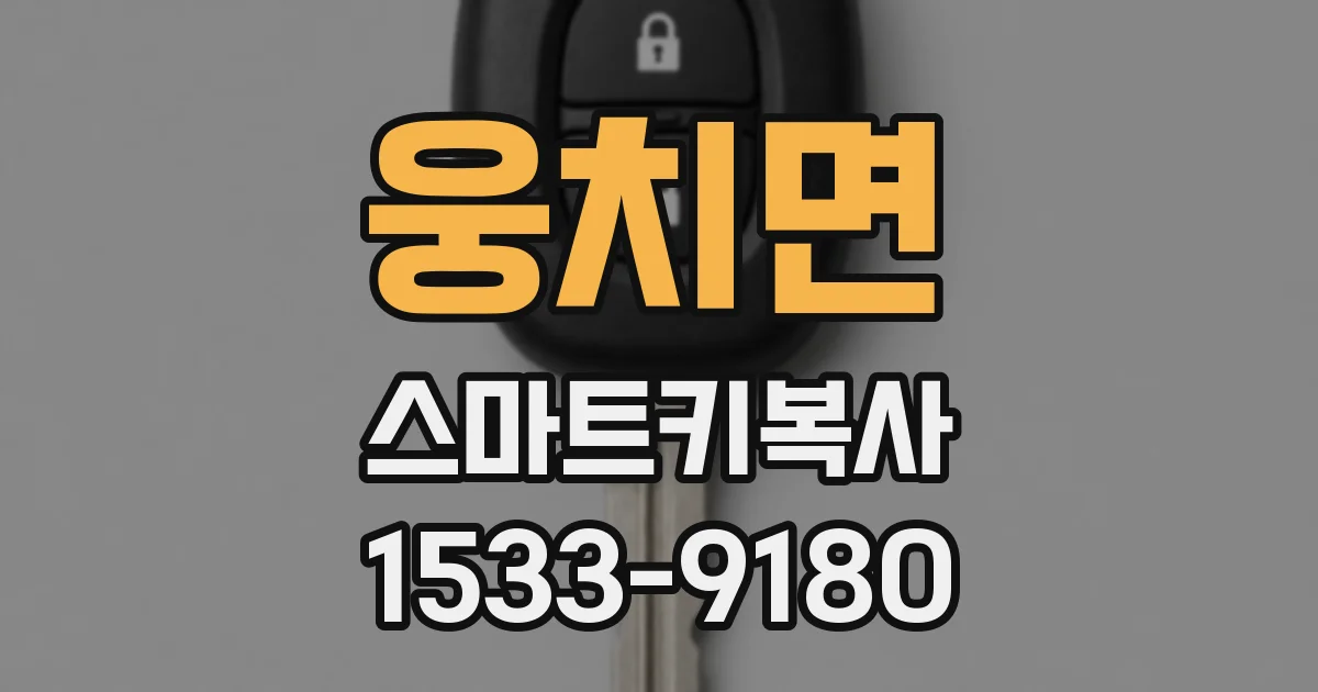 웅치면 스마트키복사