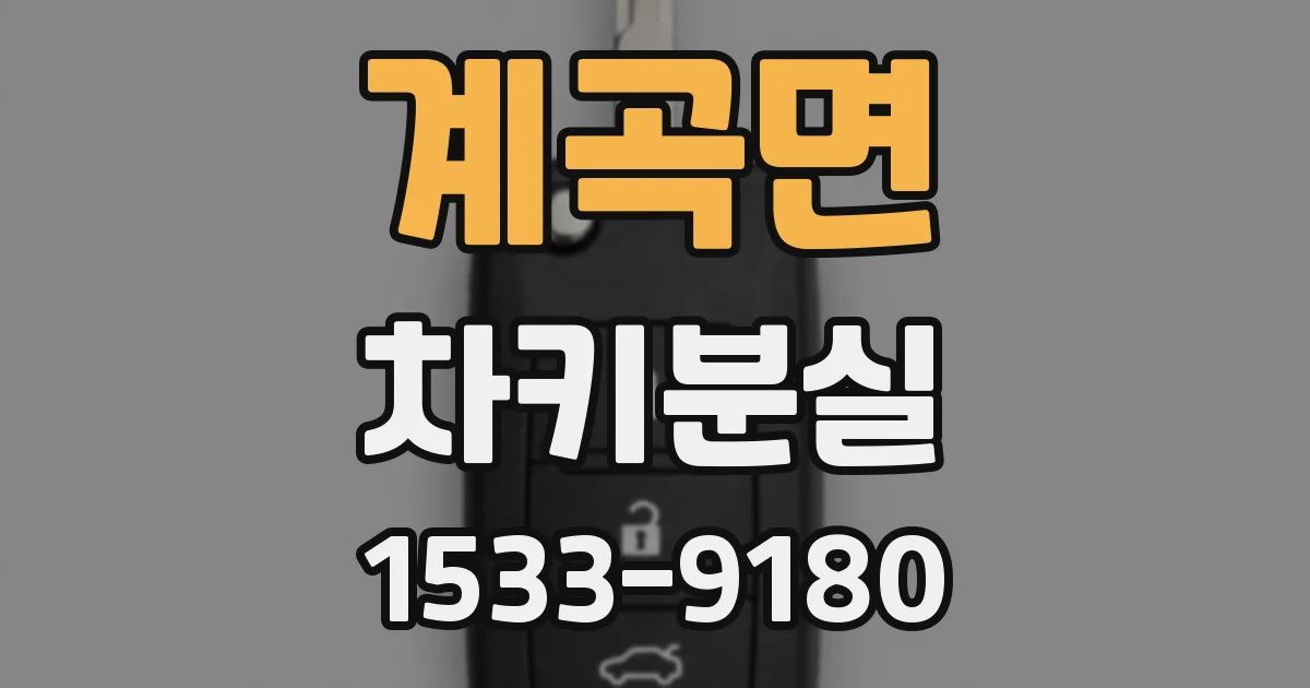 계곡면 차키분실