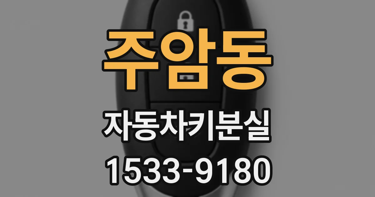 주암동 자동차키분실