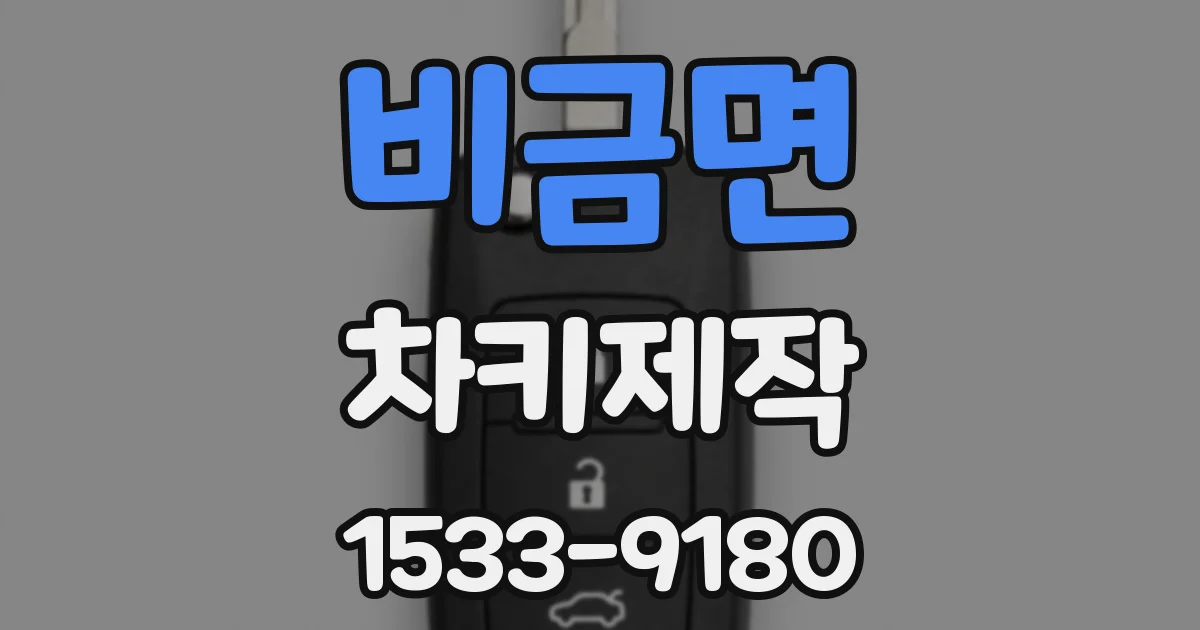 비금면 차키제작