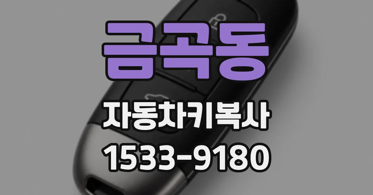 금곡동 자동차키복사