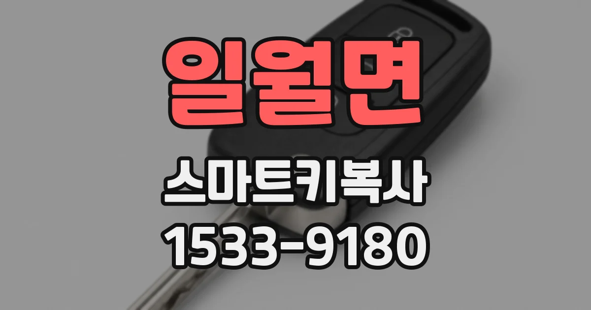 일월면 스마트키복사