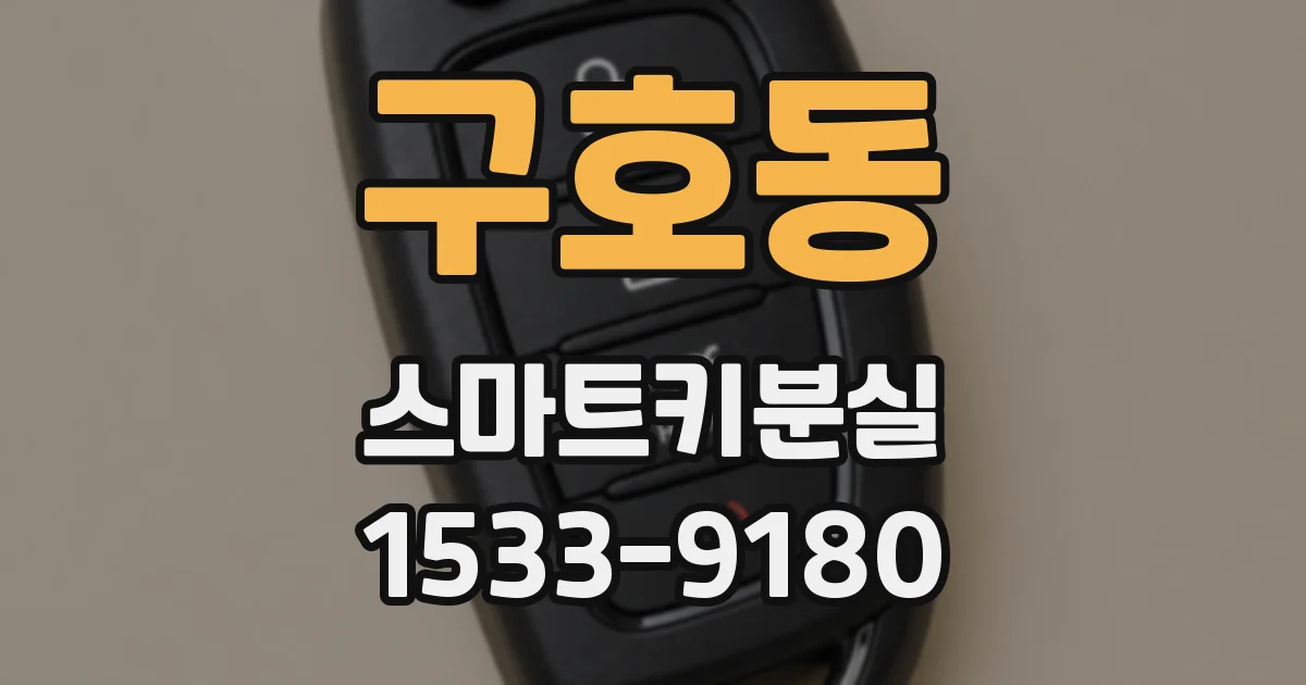 구호동 스마트키분실