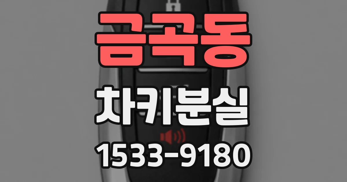 금곡동 차키분실