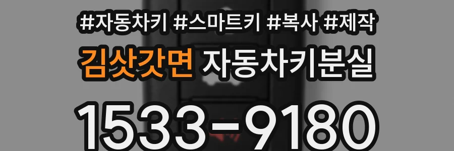 김삿갓면 자동차키분실