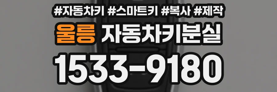 울릉 자동차키분실
