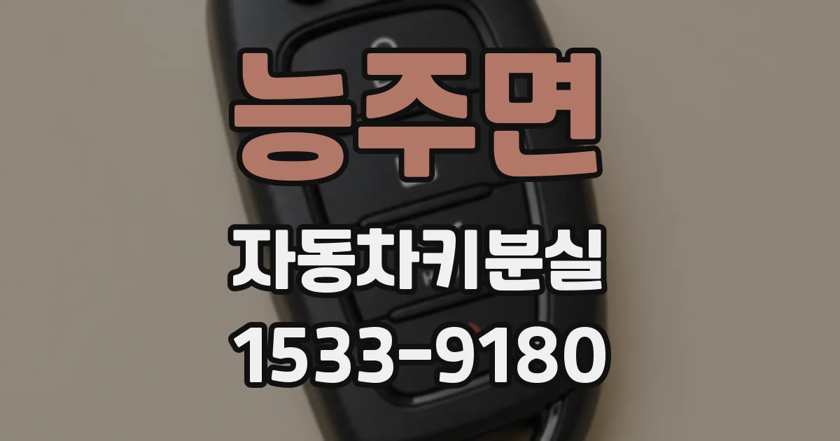 능주면 자동차키분실