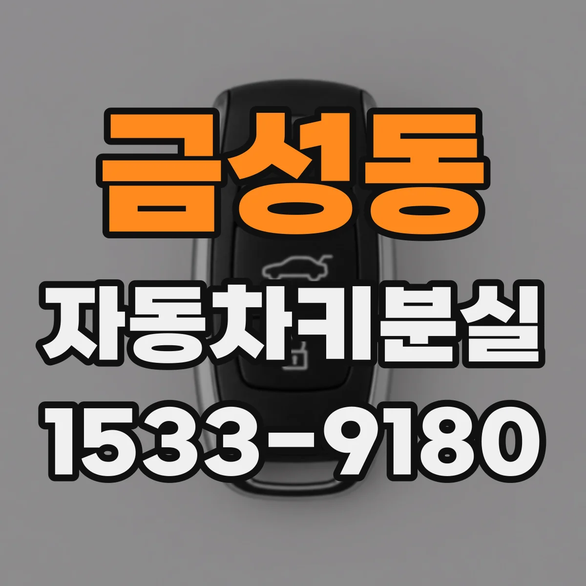 금성동 자동차키분실