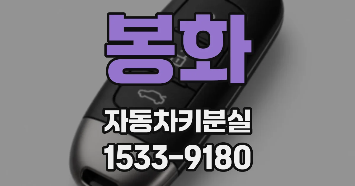봉화 자동차키분실