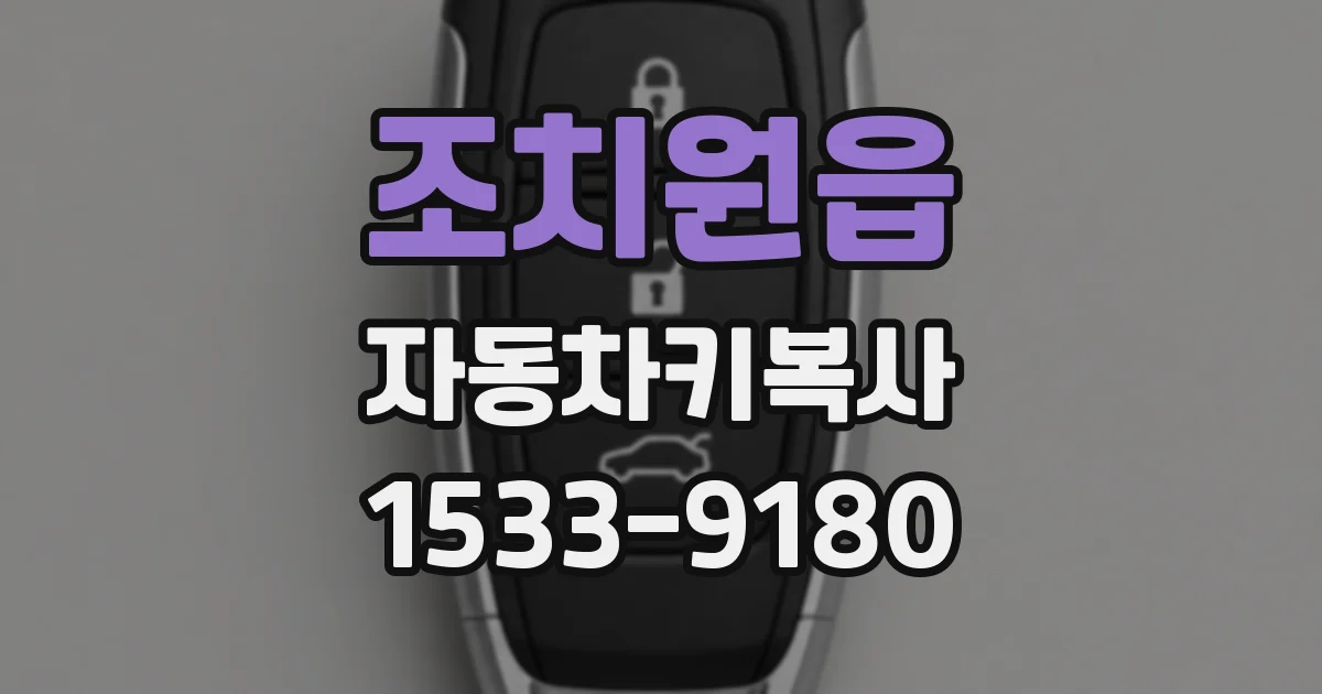 조치원읍 자동차키복사