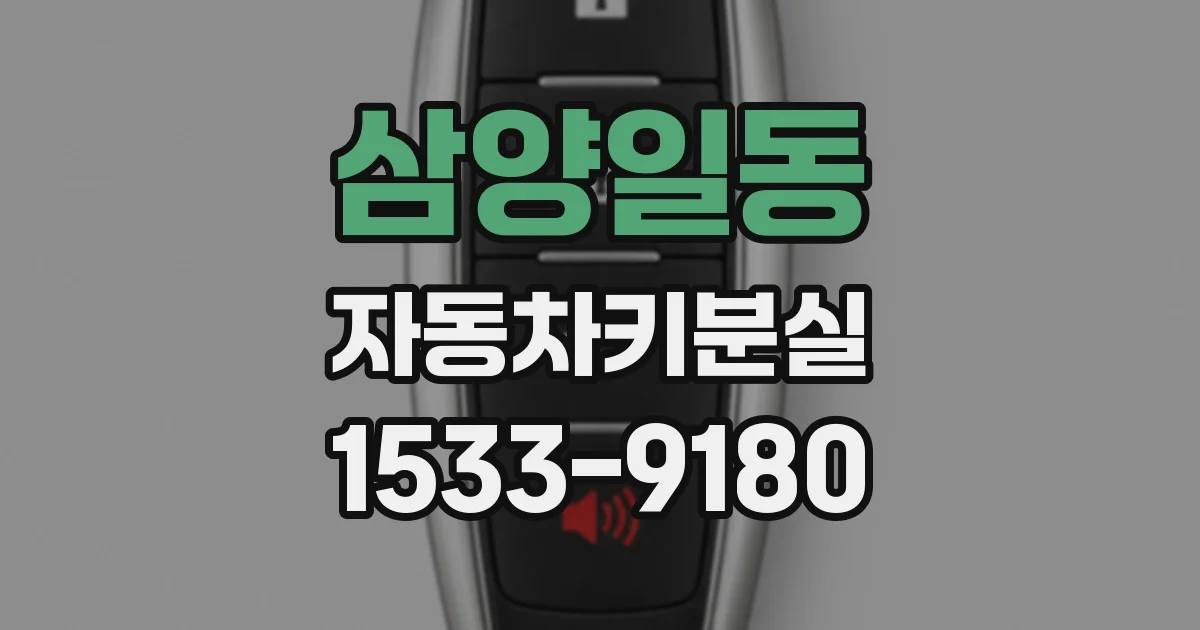 삼양일동 자동차키분실