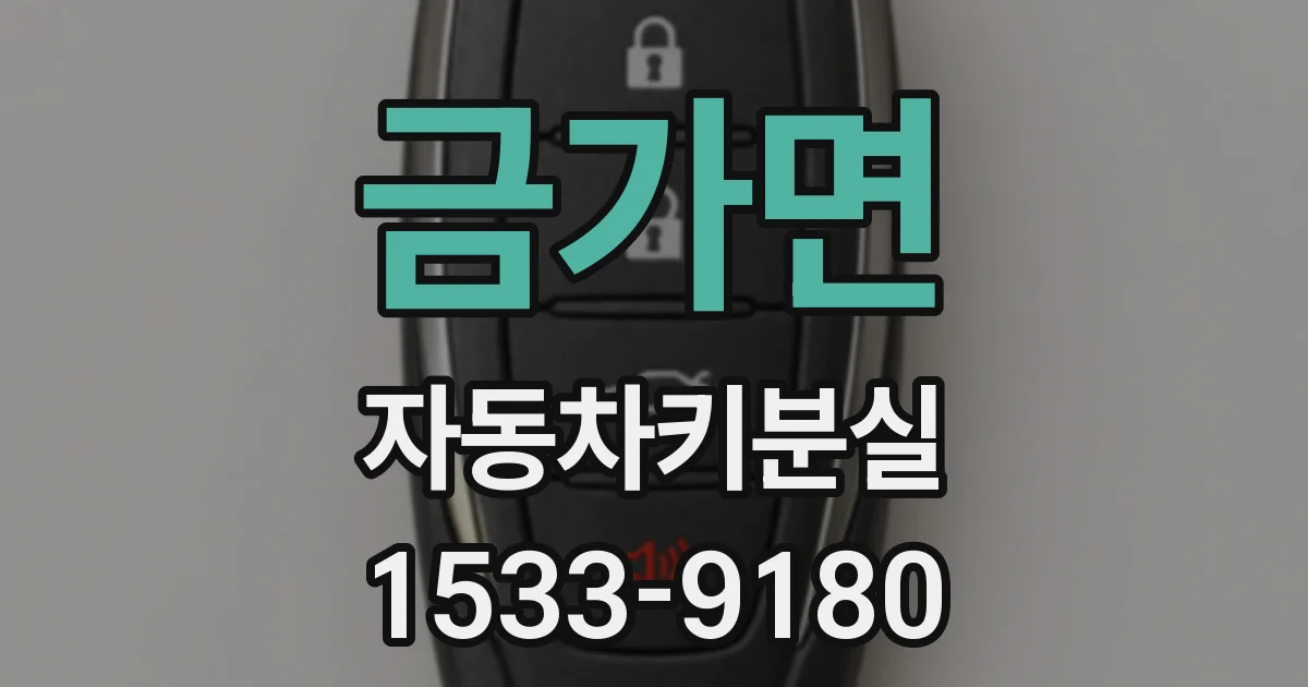 금가면 자동차키분실