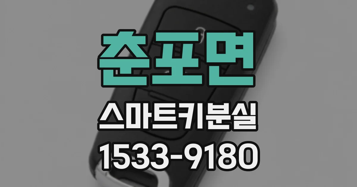 춘포면 스마트키분실