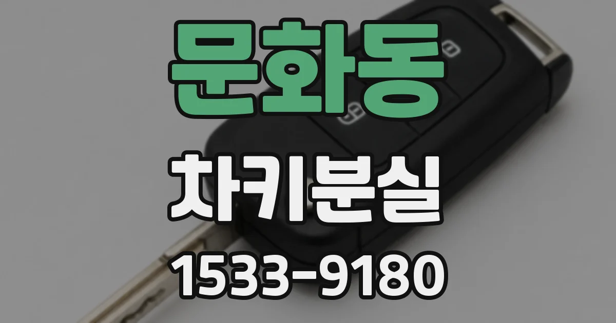 문화동 차키분실