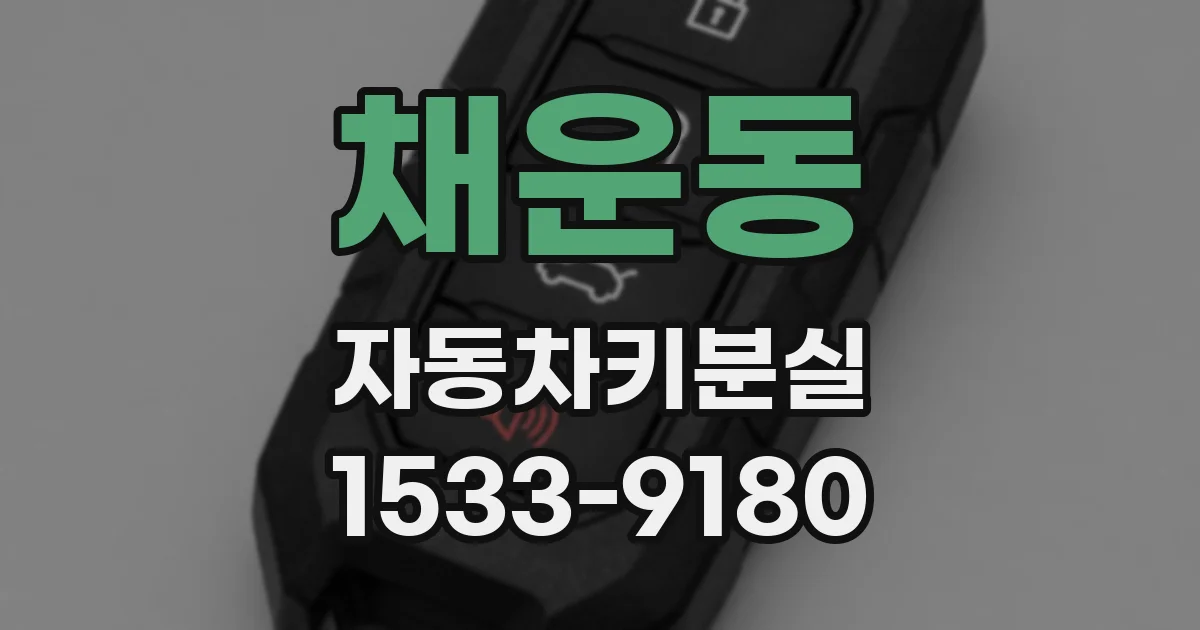 채운동 자동차키분실
