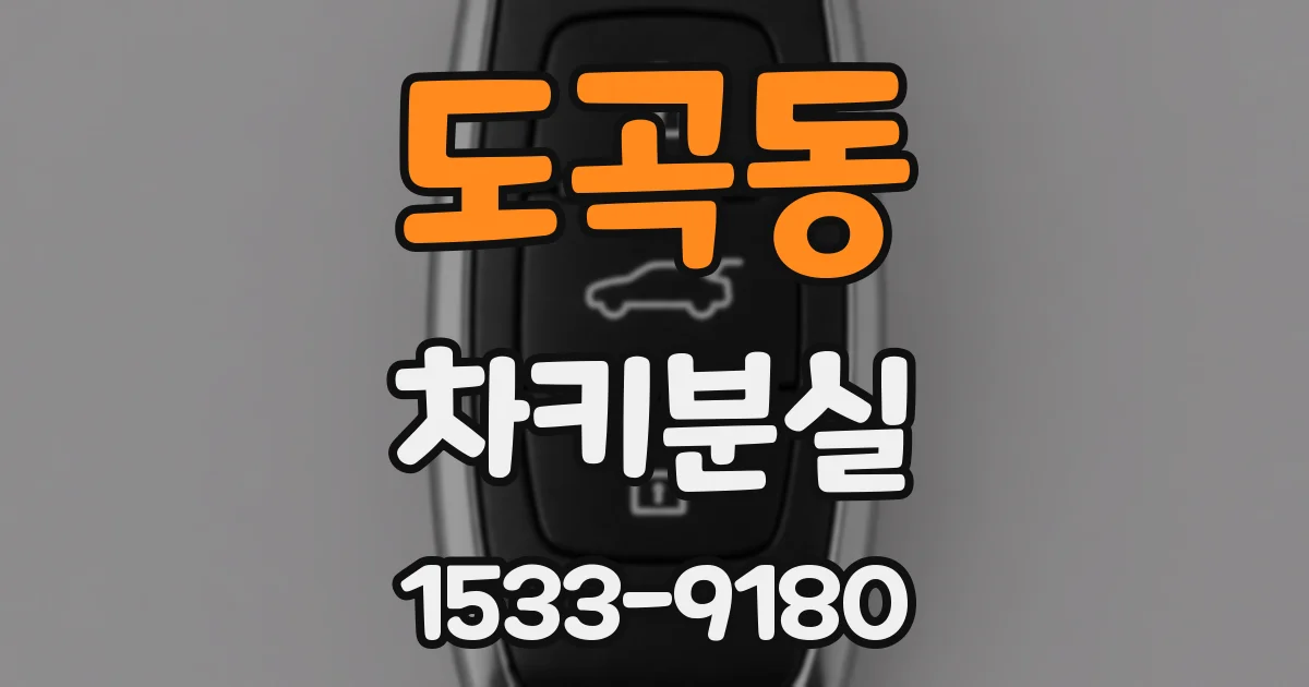 도곡동 차키분실