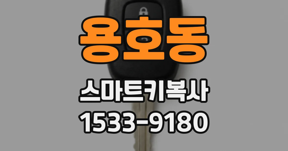 용호동 스마트키복사