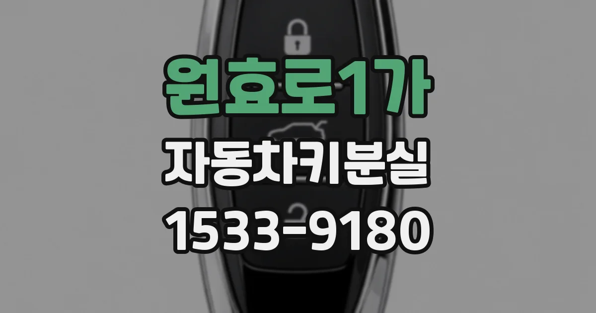 원효로1가 자동차키분실