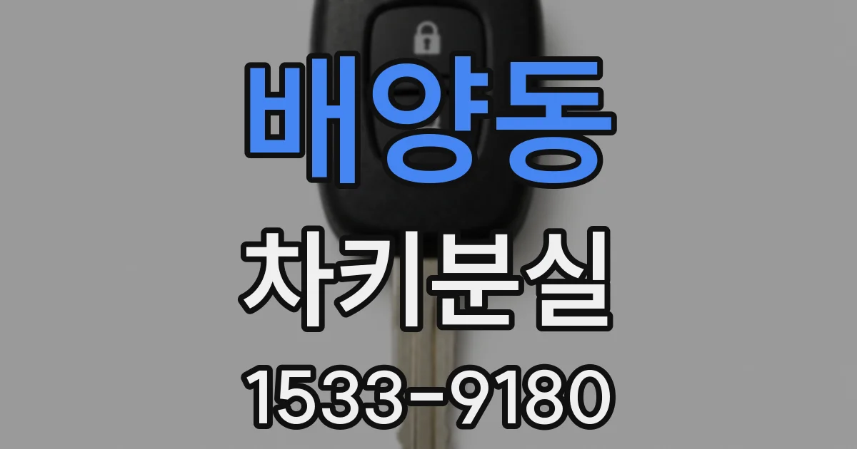 배양동 차키분실