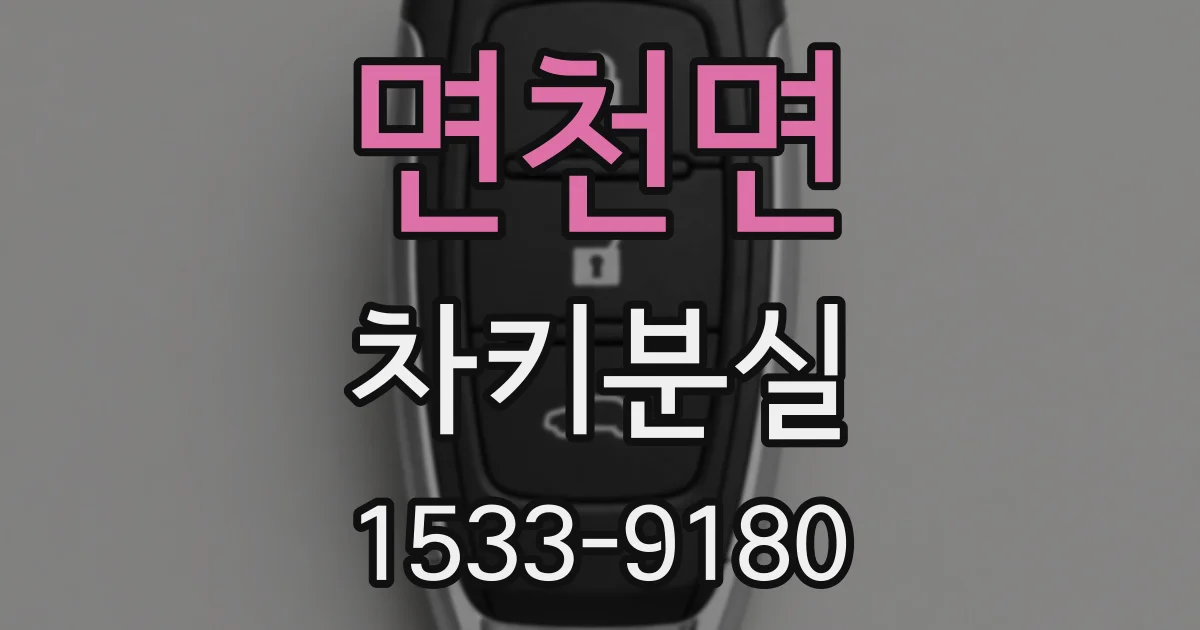 면천면 차키분실