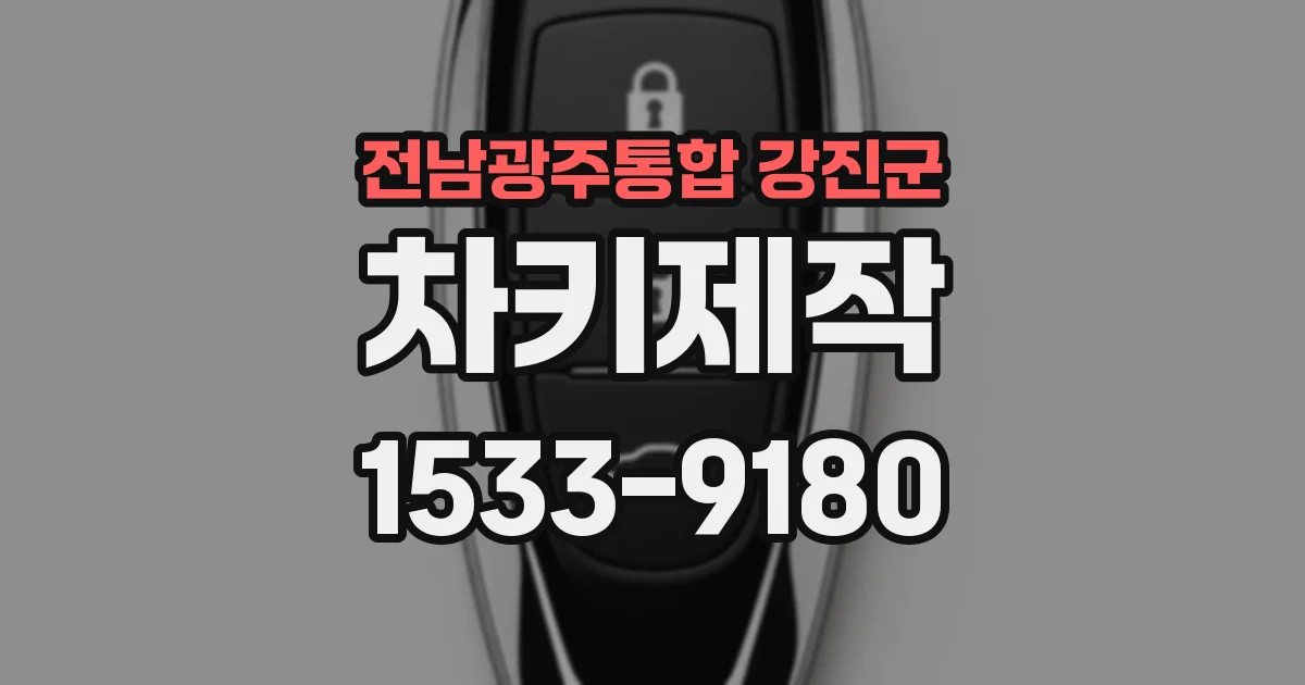 전남광주통합 강진군 차키제작