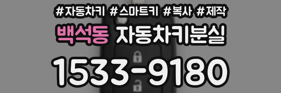 백석동 자동차키분실