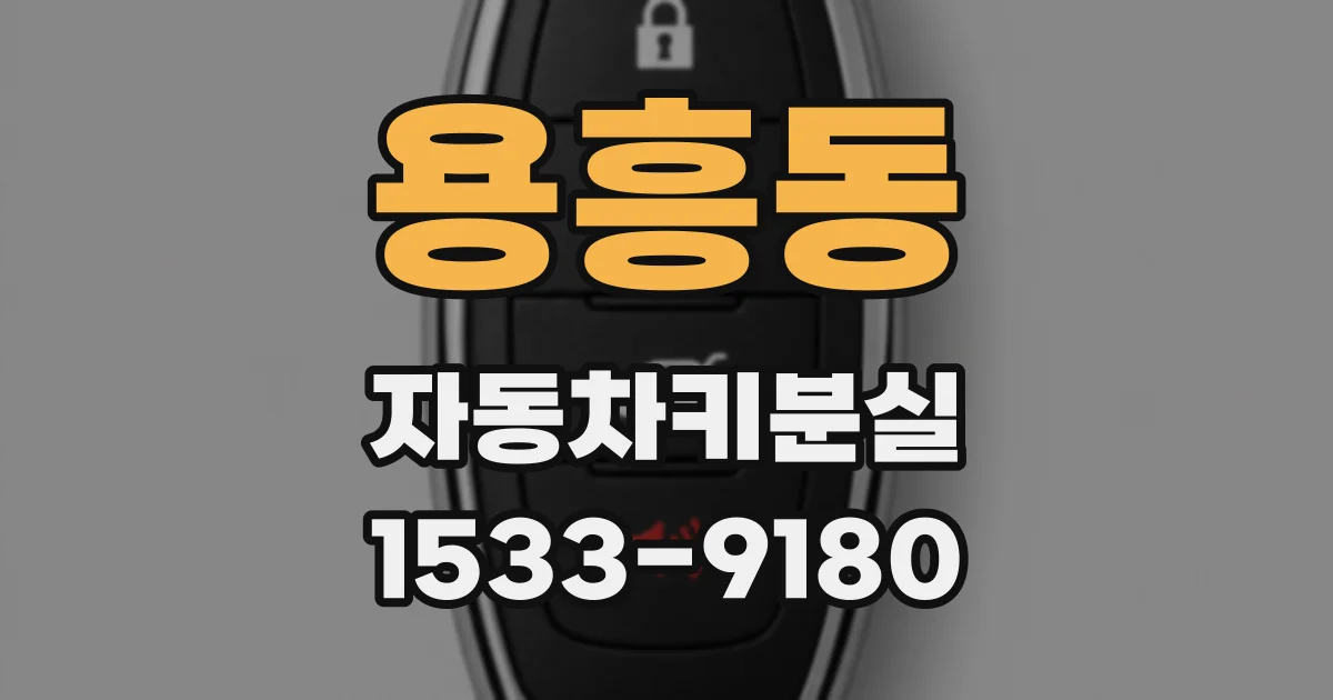 용흥동 자동차키분실