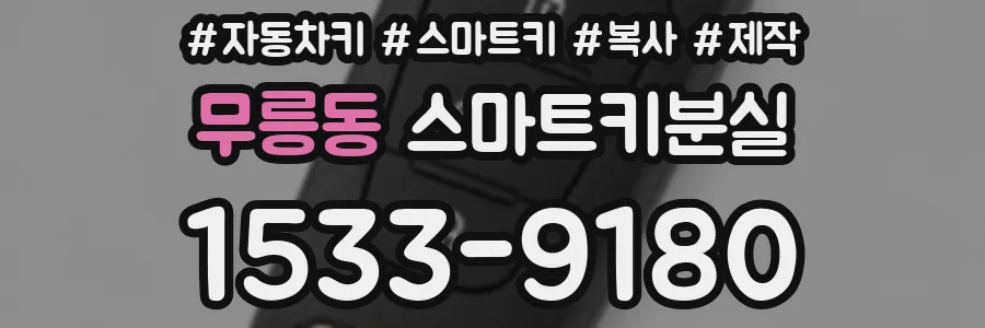 무릉동 스마트키분실