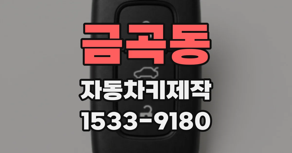 금곡동 자동차키제작