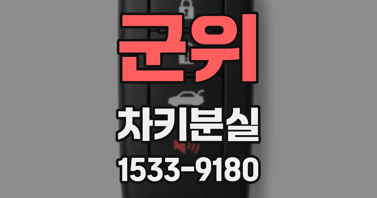 군위 차키분실