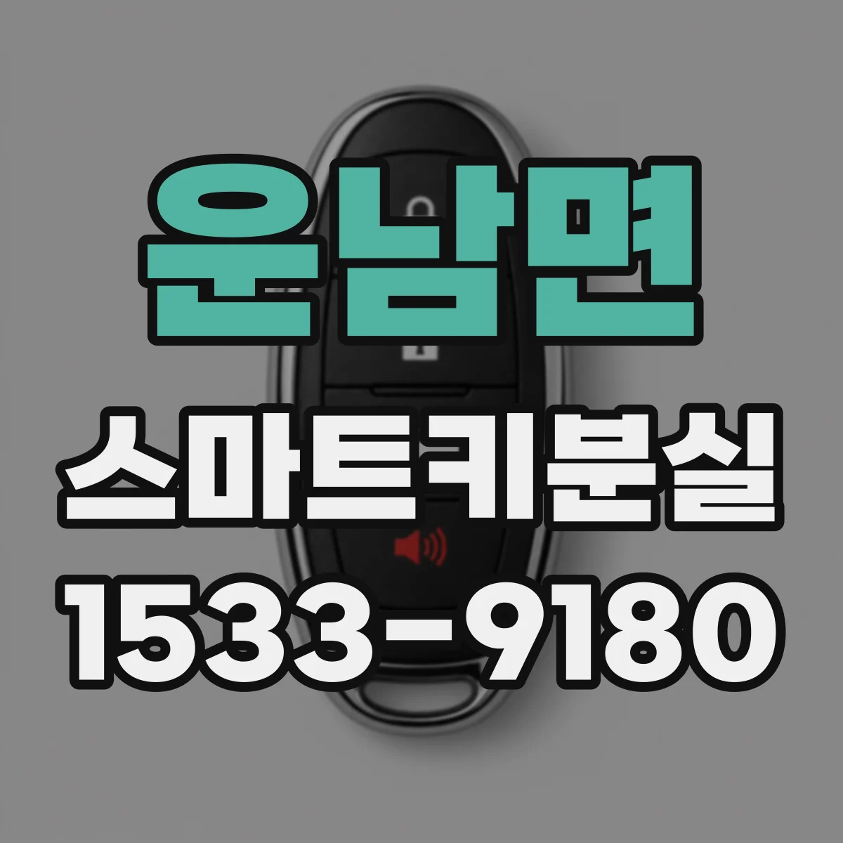 운남면 스마트키분실