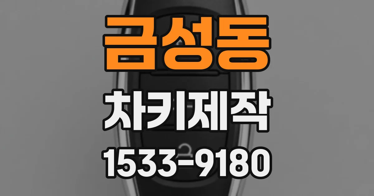 금성동 차키제작