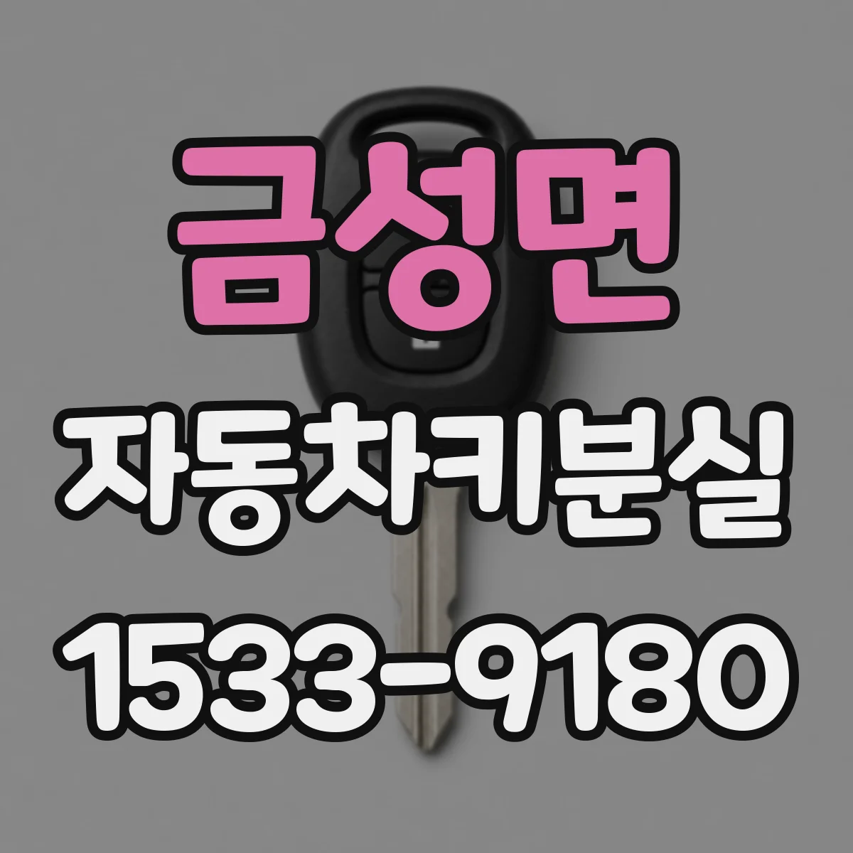 금성면 자동차키분실