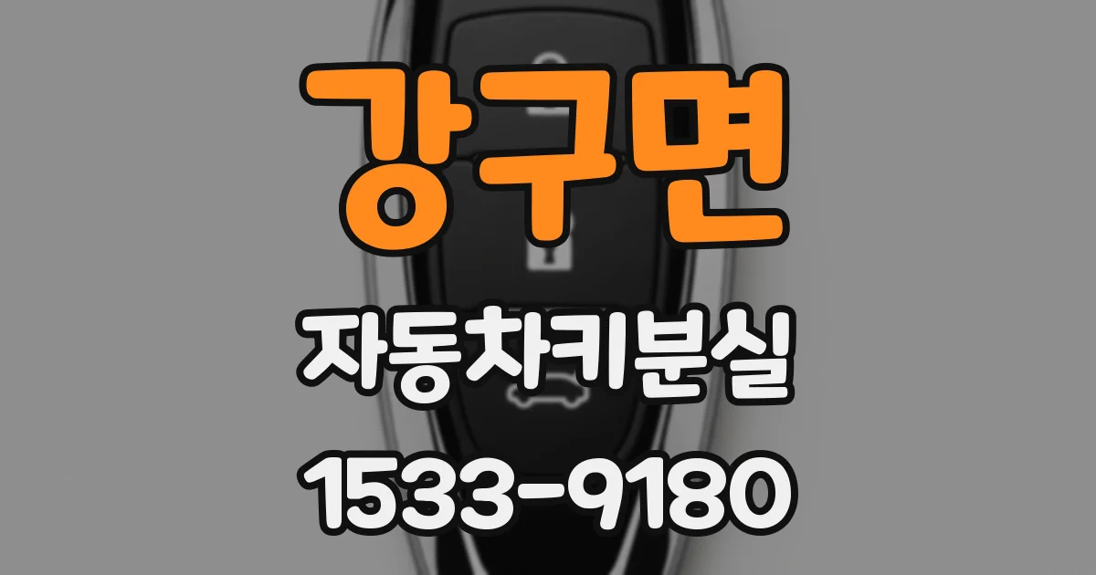 강구면 자동차키분실