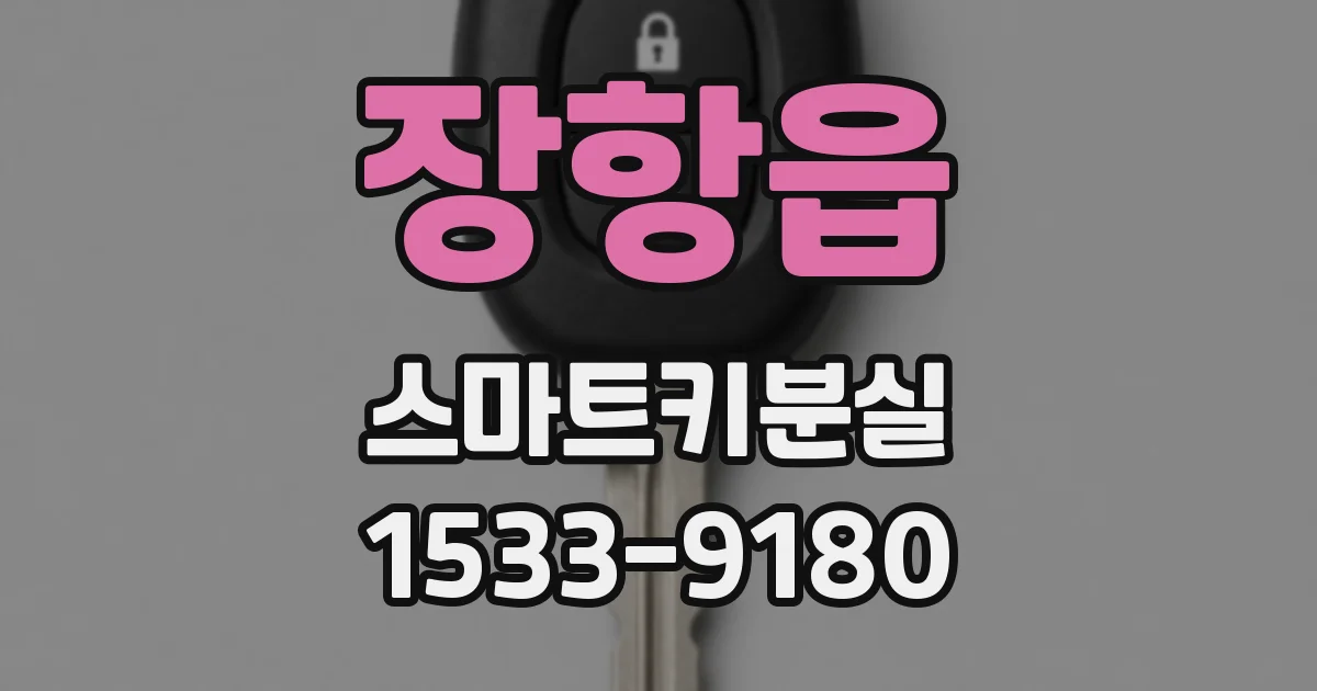 장항읍 스마트키분실