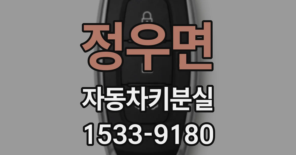 정우면 자동차키분실
