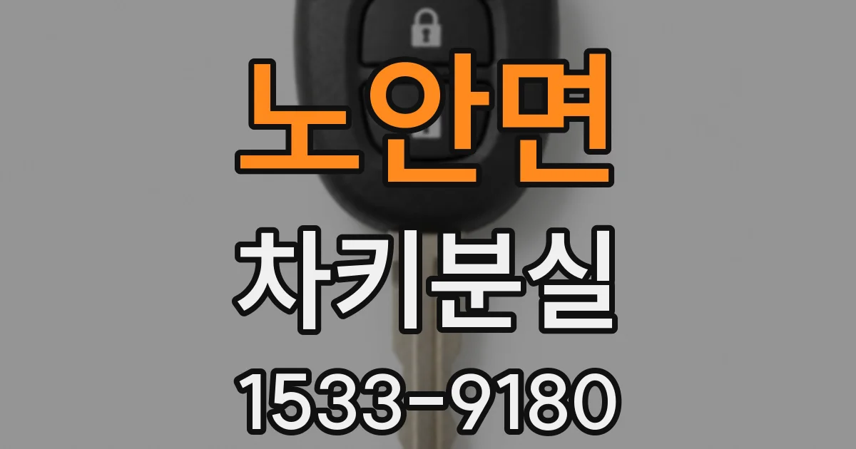 노안면 차키분실