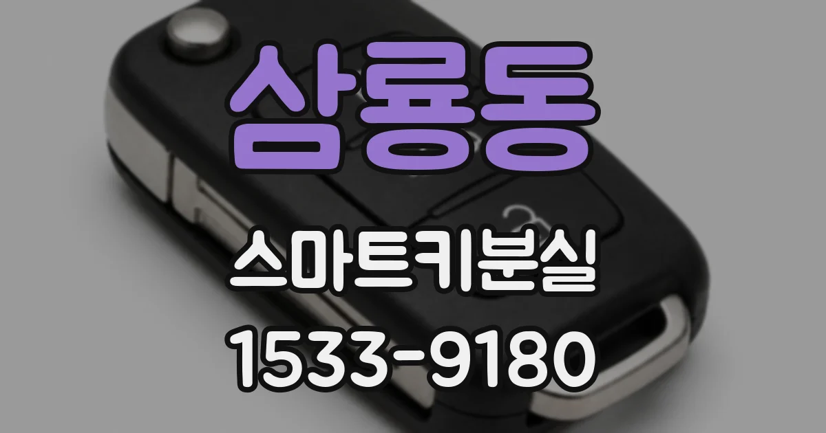 삼룡동 스마트키분실