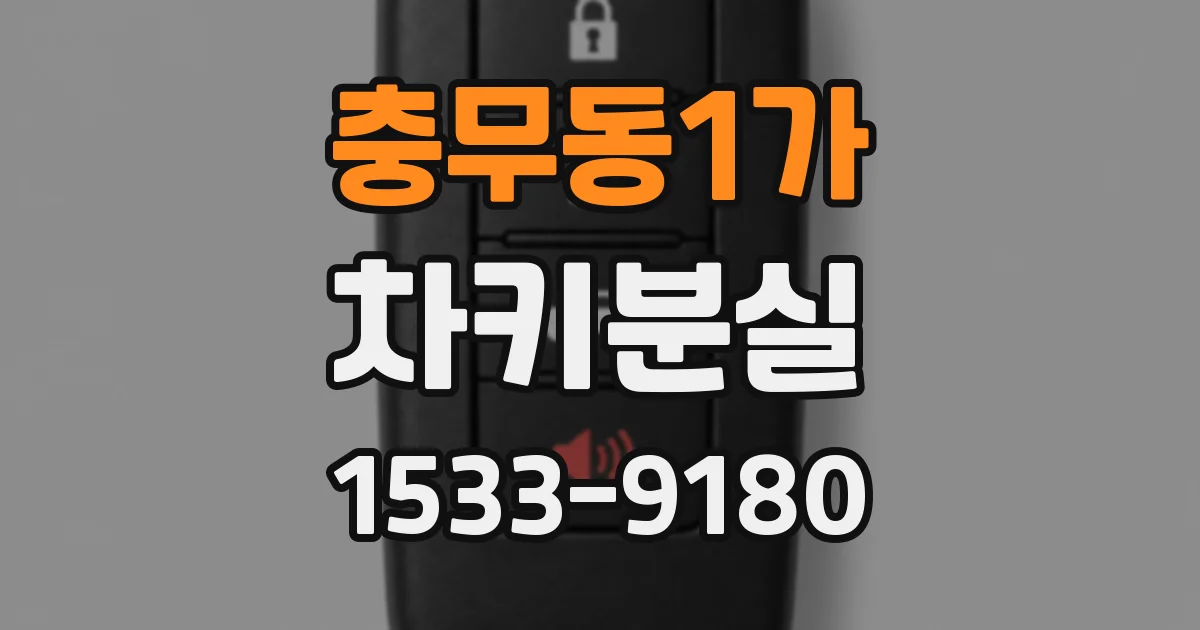 충무동1가 차키분실